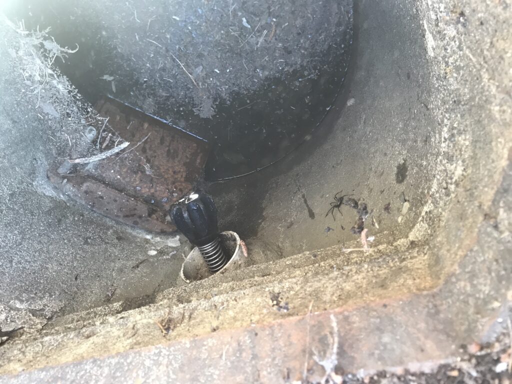 Inside view of a sewer cleanout access point with standing murky water, visible tree roots protruding into the pipe, and a black sewer camera head being inserted to inspect the blocked main line.
