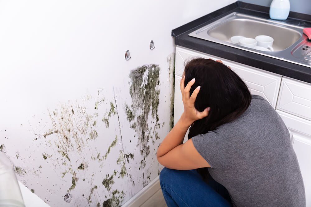 Leaking Drain Pipe In Wall: 4 Big Signs
