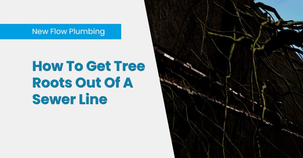 How To Get Tree Roots Out Of A Sewer Line