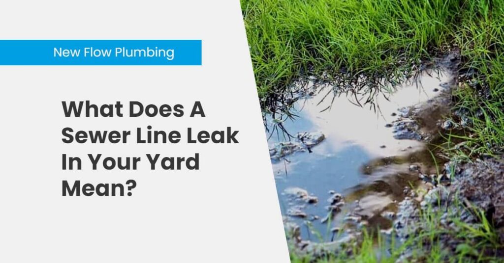 What a Sewer Line Leak in Your Yard Means and How to Fix It