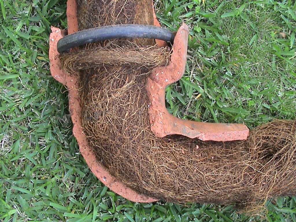 Common Culprits That Cause Sewer Line Damage
